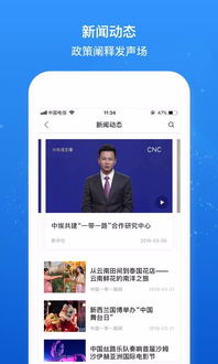 Brsn下載指南 1.0手機(jī)版與河?xùn)|軟件園軟件資源解析